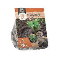 Bloembollen Maggikruid Baltus - Baltus