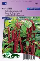 Amaranthus Caudatus zaden Red Cascade