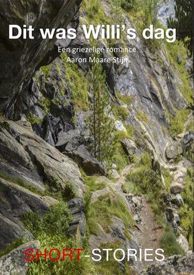 Dit was Willi's dag - Aaron Maare Stijn - ebook