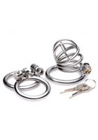 The Pen Deluxe Locking Chastity Cage - Silver