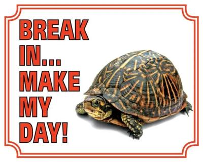 Schildpad Waakbord - Break in make my day Schildpad Waakbord - Break in make my day