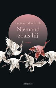 Niemand zoals hij (Paperback)