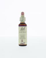 Bach Water violet/waterviolier