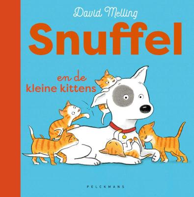 Snuffel en de kleine kittens (Hardback)