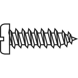 TOOLCRAFT 228745 Verzonken schroeven 6.5 mm Sleuf DIN 7971-C Staal Verzinkt 20 stuk(s)