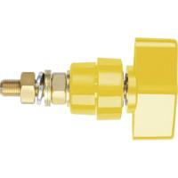 Schützinger Poolklem Geel 100 A 1 stuk(s)