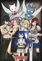 Poster Fairy Tail Group 61x91,5cm Poster Fairy Tail Group 61x91,5cm