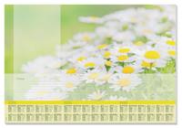 Sigel SI-HO307 Designonderlegger Lovely Daisies,met Jaartal 2023/2024/2025. 4-talig 59.5x41cm, 80 Grams Papier, 30 Vel