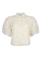 Aaiko Top ANDRA PA 503