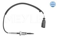 Sensor, uitlaatgastemperatuur 1148000064