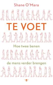 Te voet (Paperback)