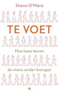 Te voet (Paperback)