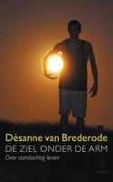 De ziel onder de arm - Désanne van Brederode - ebook
