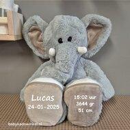 Knuffel Olifant Luka 45 cm met geboortegegevens