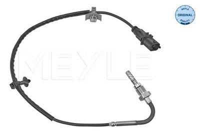Sensor, uitlaatgastemperatuur 6148000079