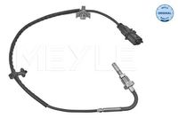 Sensor, uitlaatgastemperatuur 6148000079