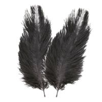 Struisvogelveren/sierveren - 2x - zwart - 30-35 cm - decoratie/hobbymateriaal