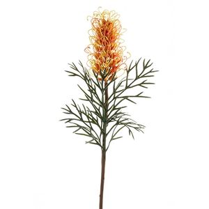 Grevillea spray coral 80 cm