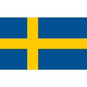 Vlag van Zweden - klein formaat - 60 x 90 cm - polyester