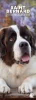 Sint Bernard Slimline Kalender 2026