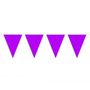 Party Vlaggenlijn puntvlaggetjes - kunststof - paars - 10 meter - Slinger - versiering