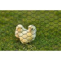 Gegalvaniseerd zeshoekig draadgaas - NATUURLIJK - 0,5 x 3 m - 13 mm dik - Groen