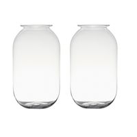 Set van 2x stuks transparante home-basics vaas/vazen van glas 30 x 19 cm