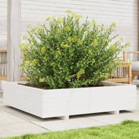 VidaXL Plantenbak 100x100x26,5 cm massief grenenhout wit