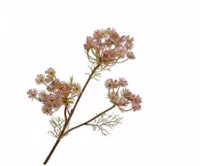 Silk-ka kunsttak dille 82cm lavendel