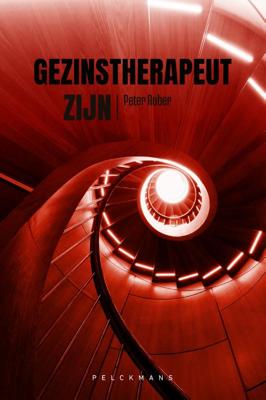 Gezinstherapeut zijn (Paperback)