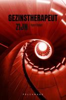 Gezinstherapeut zijn (Paperback)