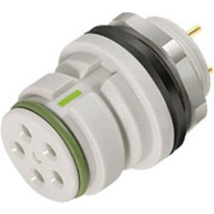 binder 99 9136 490 12 Ronde subminiatuurconnector Flensbus Totaal aantal polen: 12 1 stuk(s)