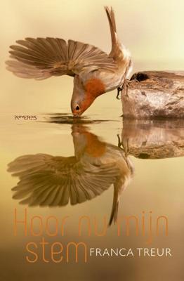 Hoor nu mijn stem (Hardback)