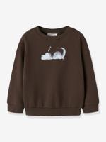 NMMVILDAR sweater voor jongens NAME IT chocoladebruin