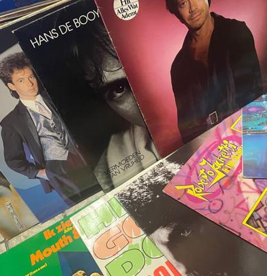 10 x Random Nederlandse Artiesten LP&apos;s