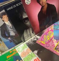 10 x Random Nederlandse Artiesten LP&apos;s