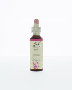 Bach Elm/iep