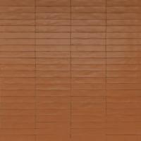 Ragno Wish RCGE Wandtegel 053X300 Brick 10Mm Mat
