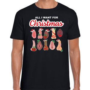 Foute kersttrui/t-shirt heren - All I want for Christmas - piemel/vagina - zwart