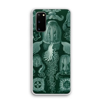 Haeckel Cubomedusae: Samsung Galaxy S20 Transparant Hoesje