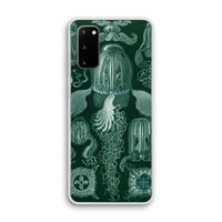 Haeckel Cubomedusae: Samsung Galaxy S20 Transparant Hoesje