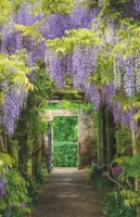 Alexsar Art Tuindoek wisteria tunnel 140x90cm
