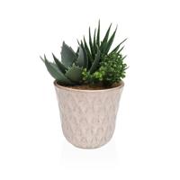 Decoratieve plant Versa Keramisch Plastic Fusion Vetplant 7,8 X 14 X 7,8 CM