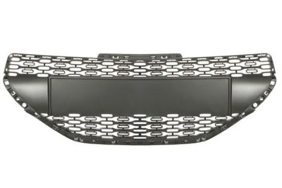 Radiateurgrille 6502075509990P