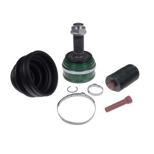 Homokineetset ADH28976