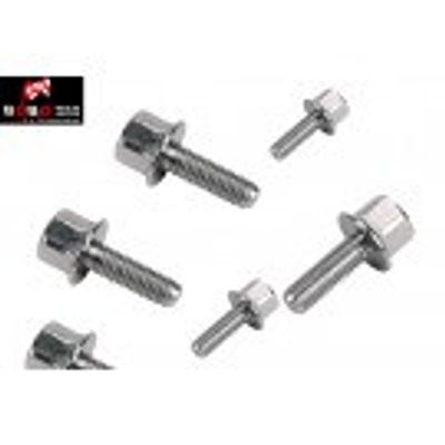 Bofix Zak a 25 uitlaat flensbout m6x25 rvs