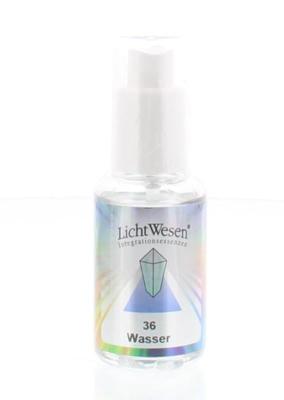 Lichtwesen Water tinctuur 36 30 Milliliter