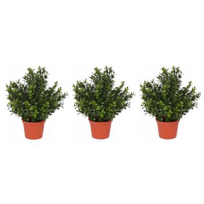Kunstplant Buxus - Set van 4x stuks - groen - in pot - 31 cm - Kantoor/huiskamer