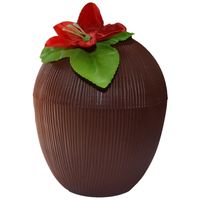 Kokosnoot drinkbeker hawaii 12 x 10 cm 250 ml