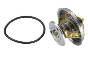 Thermostaat 407887D